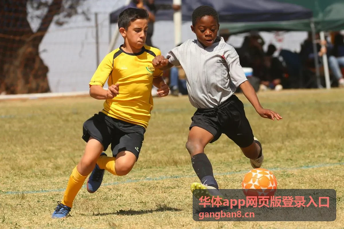 华体app网页版登录入口午间档直播预告封面